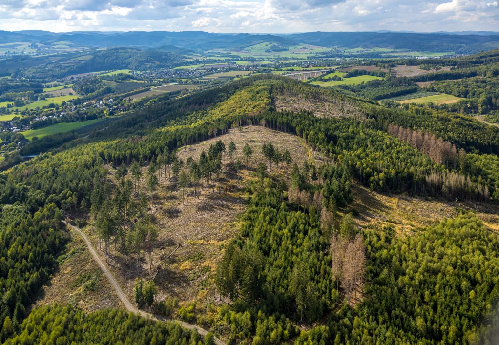 Meschede from the bird's eye view: Bald area of a cleared forest in Meschede at Sauerland in the state North Rhine-Westphalia, Germany