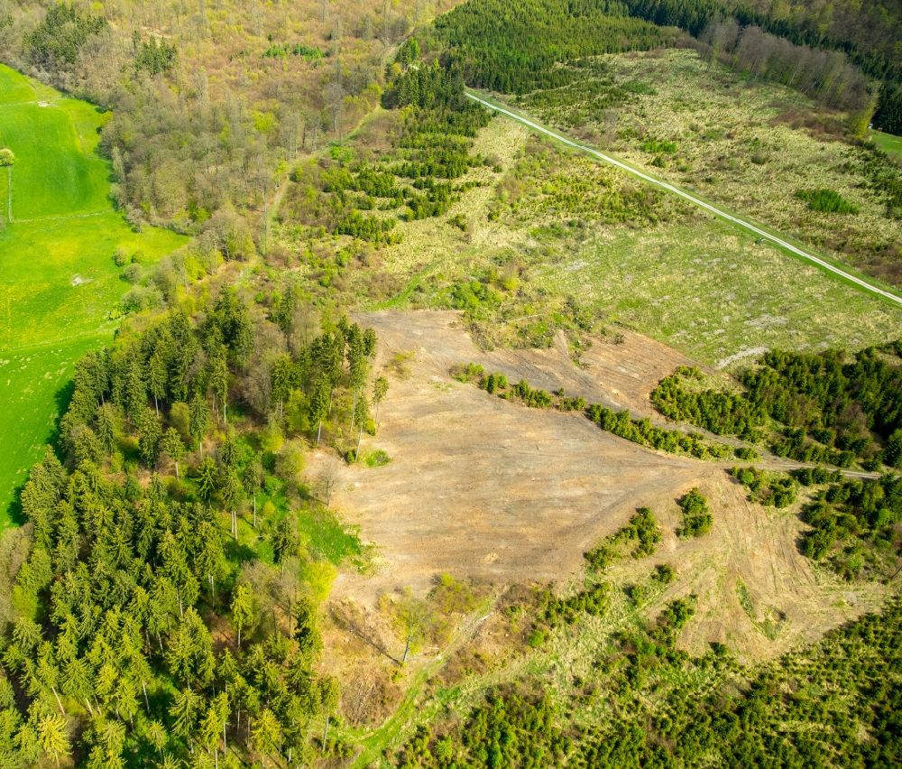 Aerial image Brilon - Bald area of a cleared forest in of Naehe von Alme in Brilon in the state North Rhine-Westphalia, Germany