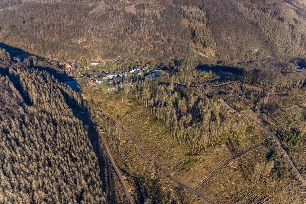 Aerial photograph Hagen - Bare forest area in a wooded area due to clearing - forest area in the center of the village in the district Dahl in Hagen at Ruhrgebiet in the state North Rhine-Westphalia, Germany