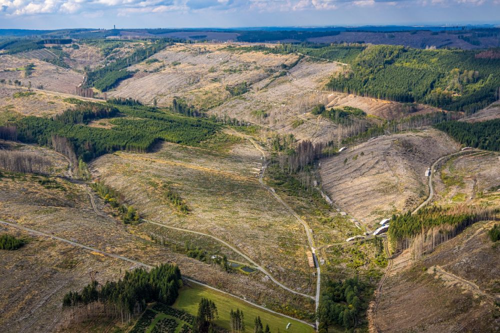 Aerial photograph Ramsbeck - Bald area of a cleared forest in Ramsbeck at Sauerland in the state North Rhine-Westphalia, Germany