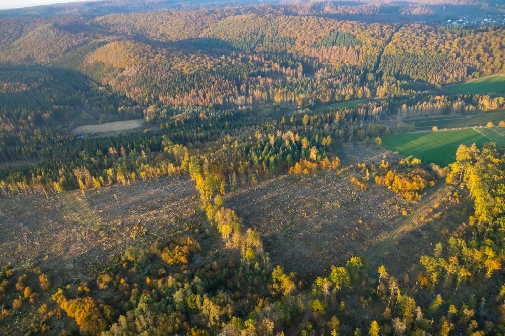 Aerial photograph Marsberg - Bald area of a cleared forest on Schnippelweg in Marsberg in the state North Rhine-Westphalia, Germany