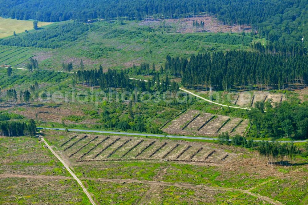 Aerial photograph Solling - Bald area of a cleared forest in Solling in the state Lower Saxony, Germany