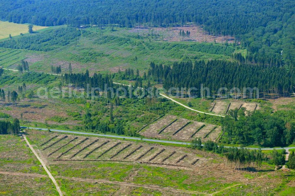 Solling from above - Bald area of a cleared forest in Solling in the state Lower Saxony, Germany