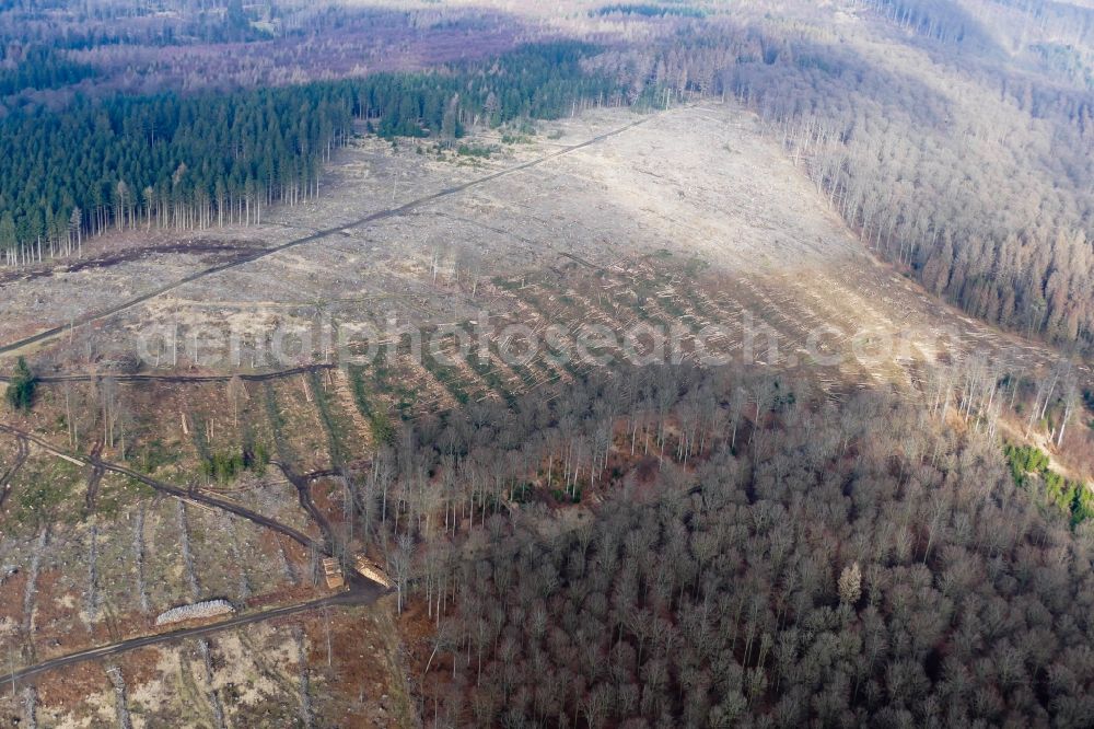 Aerial image Staufenberg - Bald area of a cleared forest in Staufenberg in the state Lower Saxony, Germany