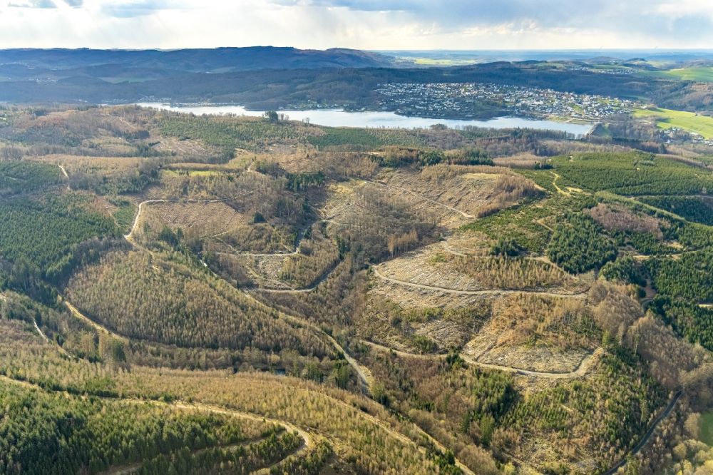 Stemel from above - Bald area of a cleared forest in Stemel at Sauerland in the state North Rhine-Westphalia, Germany