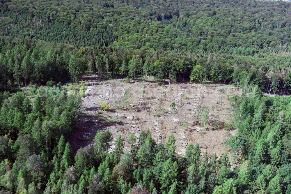 Aerial image Uftrungen - Bald area of a cleared forest in Uftrungen in the state Saxony-Anhalt, Germany