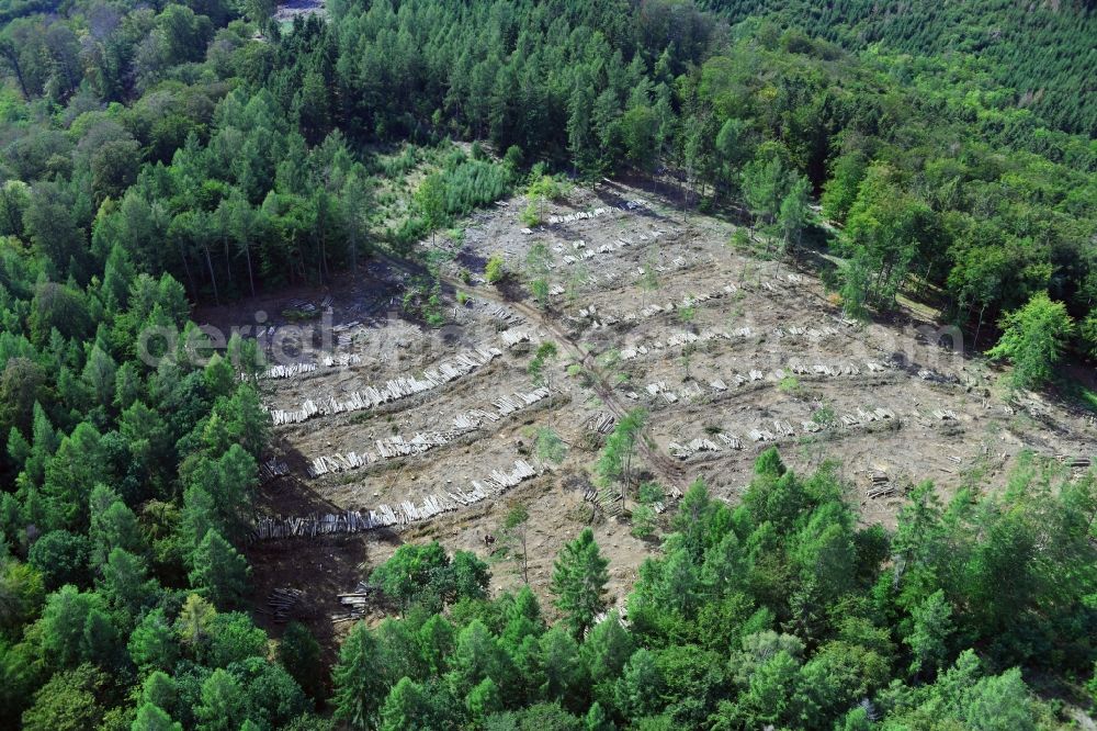 Aerial photograph Uftrungen - Bald area of a cleared forest in Uftrungen in the state Saxony-Anhalt, Germany