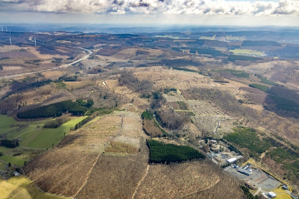 Aerial photograph Unterwilden - Bald area of a cleared forest in Unterwilden on Siegerland in the state North Rhine-Westphalia, Germany