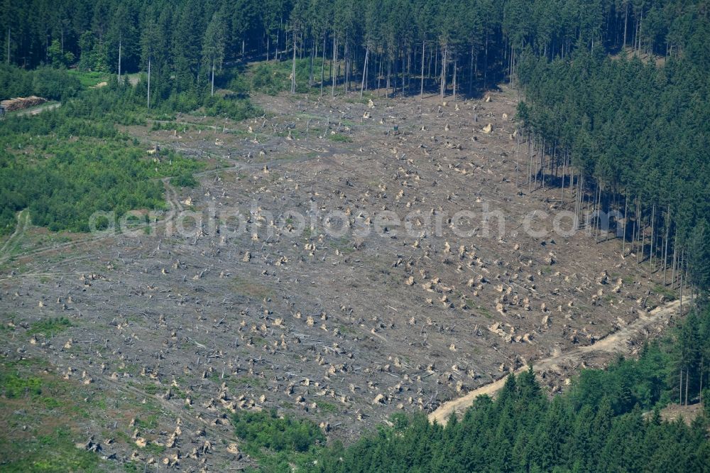 Warstein from above - Bald area of a cleared forest in Warstein in the state North Rhine-Westphalia, Germany