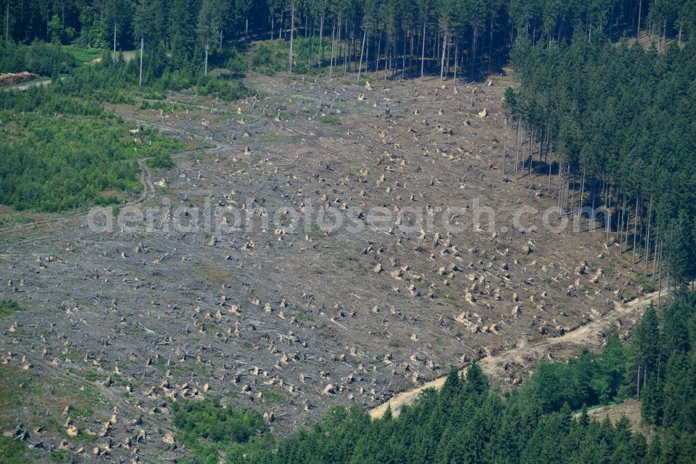 Warstein from the bird's eye view: Bald area of a cleared forest in Warstein in the state North Rhine-Westphalia, Germany