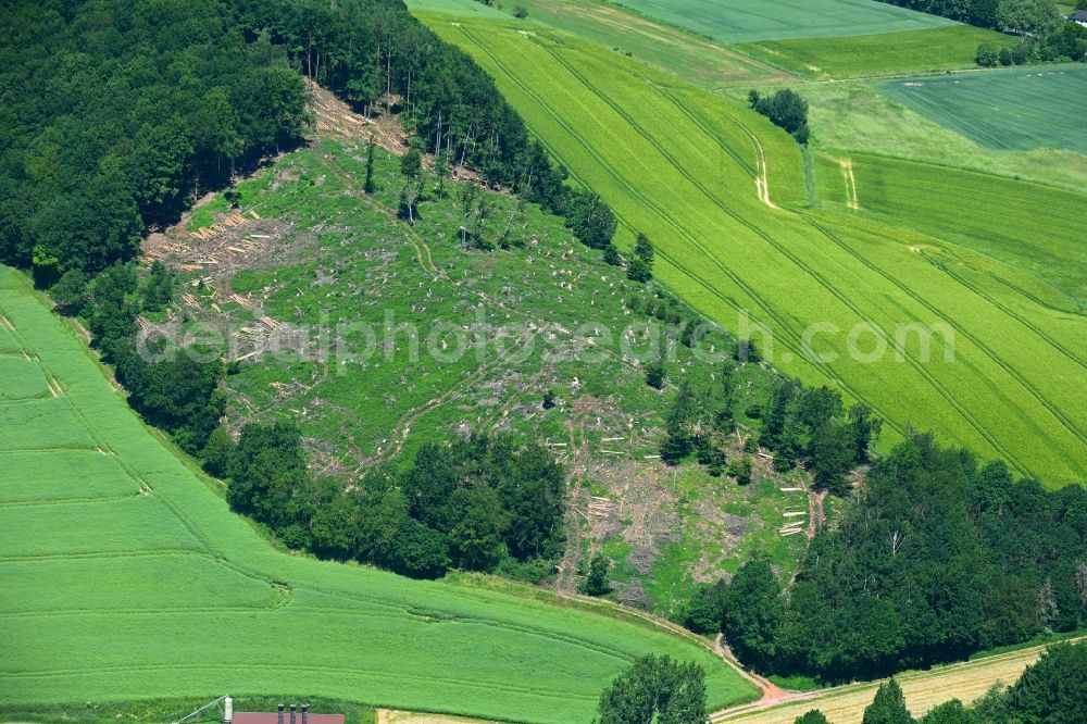 Westorf from above - Bald area of a cleared forest in Westorf in the state North Rhine-Westphalia, Germany