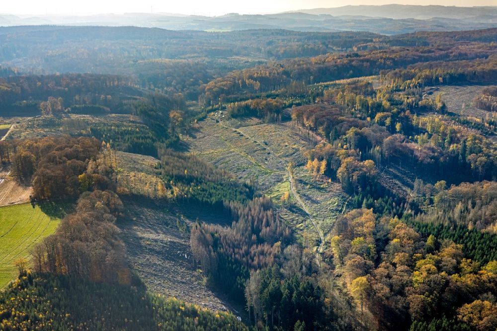 Aerial image Vosswinkel - Bald area of a cleared forest in Vosswinkel in the state North Rhine-Westphalia, Germany