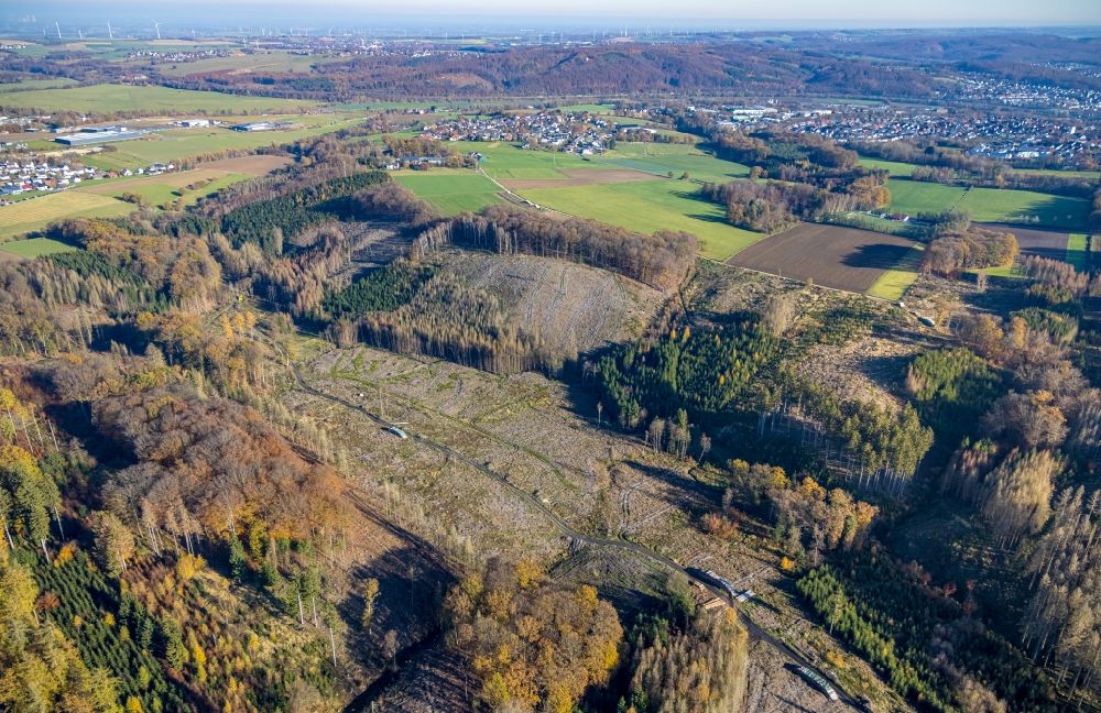Aerial photograph Vosswinkel - Bald area of a cleared forest in Vosswinkel in the state North Rhine-Westphalia, Germany