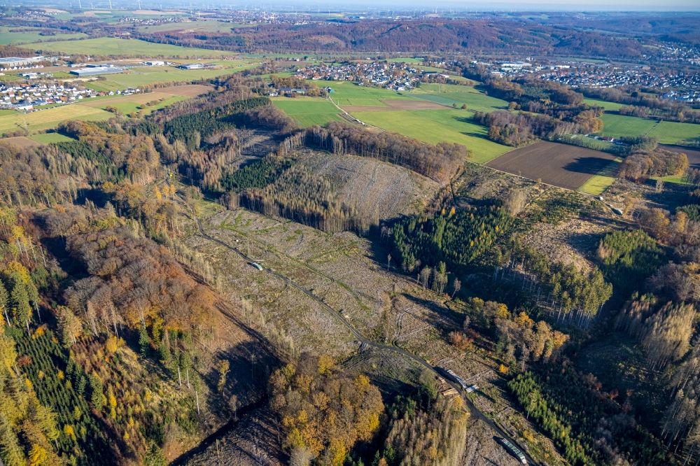 Vosswinkel from above - Bald area of a cleared forest in Vosswinkel in the state North Rhine-Westphalia, Germany