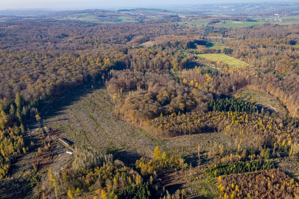 Aerial photograph Vosswinkel - Bald area of a cleared forest in Vosswinkel in the state North Rhine-Westphalia, Germany
