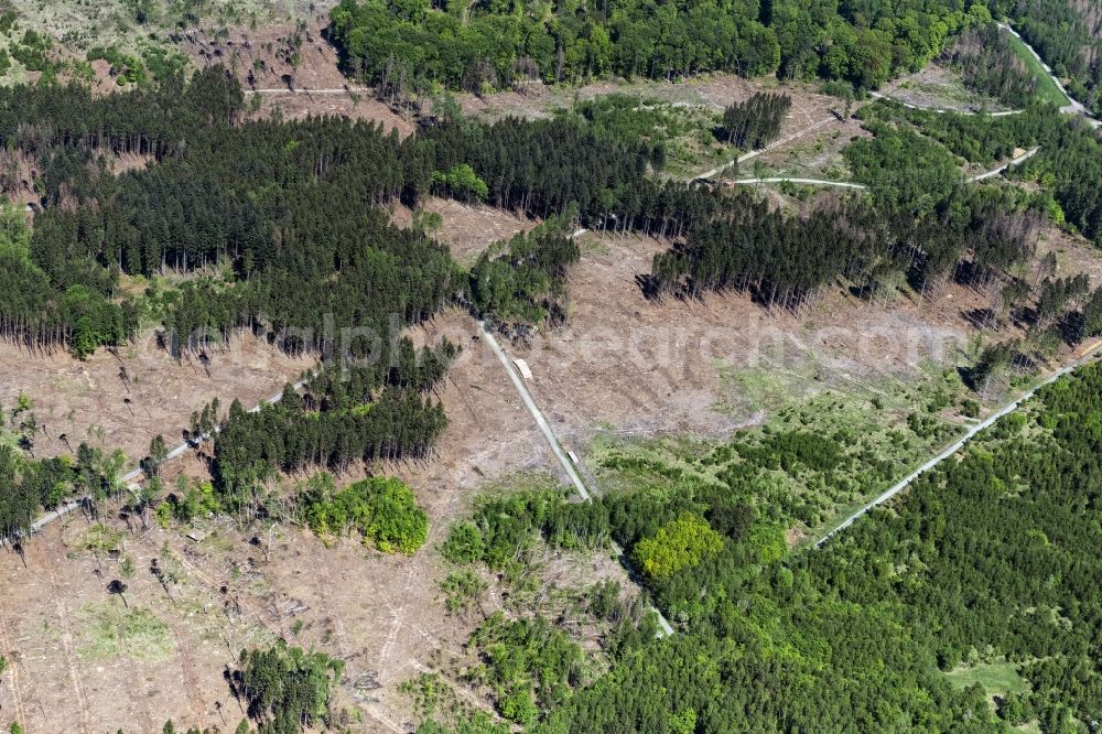 Aerial image Ransbach-Baumbach - Bald area of a cleared forest in Wittgert in the state Rhineland-Palatinate, Germany