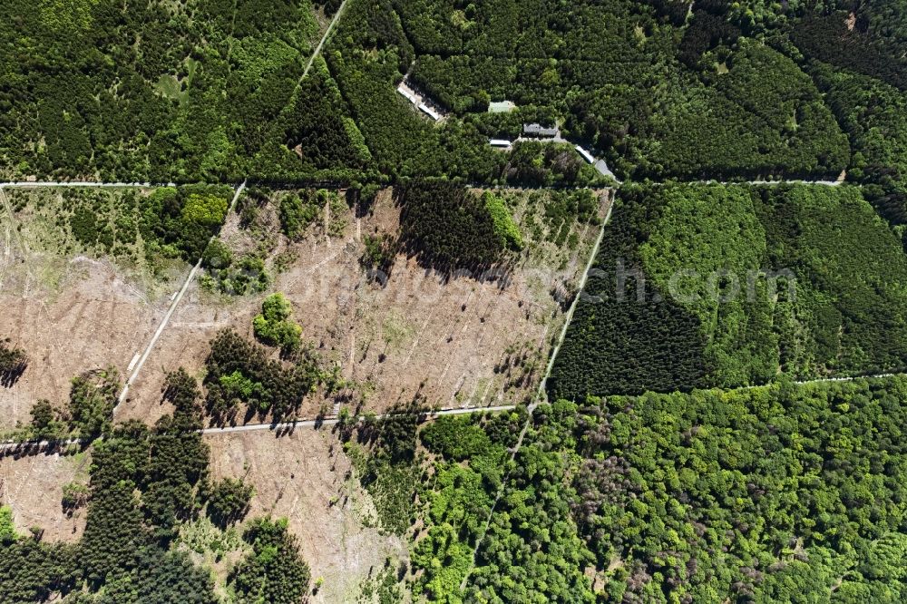 Aerial photograph Ransbach-Baumbach - Bald area of a cleared forest in Wittgert in the state Rhineland-Palatinate, Germany