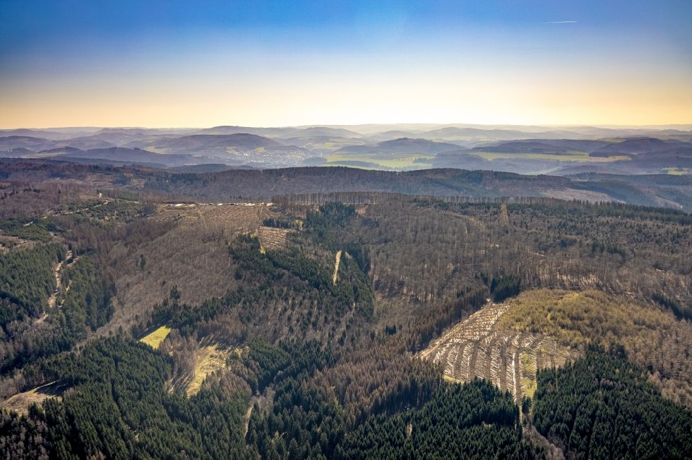 Aerial image Enste - Bald area of a cleared forest in Enste at Sauerland in the state North Rhine-Westphalia, Germany