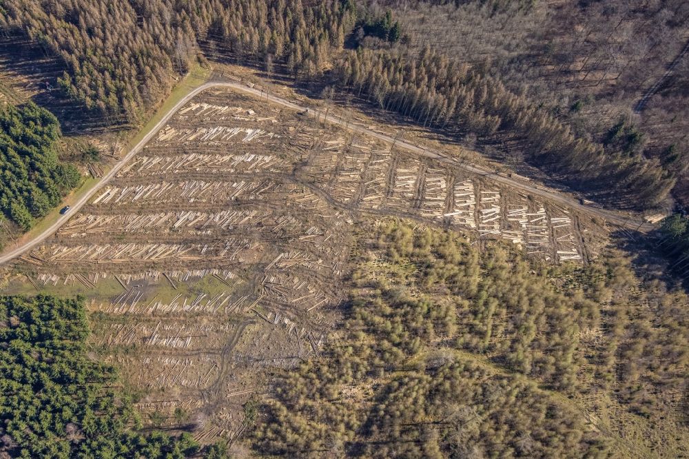 Aerial image Enste - Bald area of a cleared forest in Enste at Sauerland in the state North Rhine-Westphalia, Germany