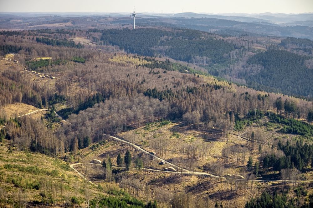 Enste from the bird's eye view: Bald area of a cleared forest in Enste at Sauerland in the state North Rhine-Westphalia, Germany