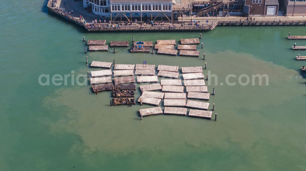 Aerial image San Francisco - Ship moorings at the inland harbor basin on the banks of Pier 39 on street Pier 39 in San Francisco in California, United States of America