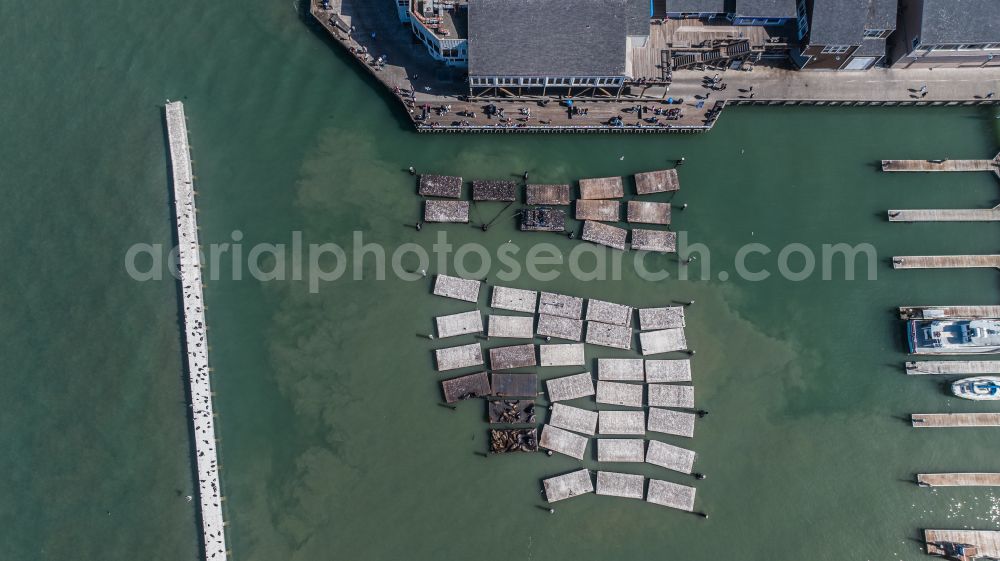 San Francisco from the bird's eye view: Ship moorings at the inland harbor basin on the banks of Pier 39 on street Pier 39 in San Francisco in California, United States of America