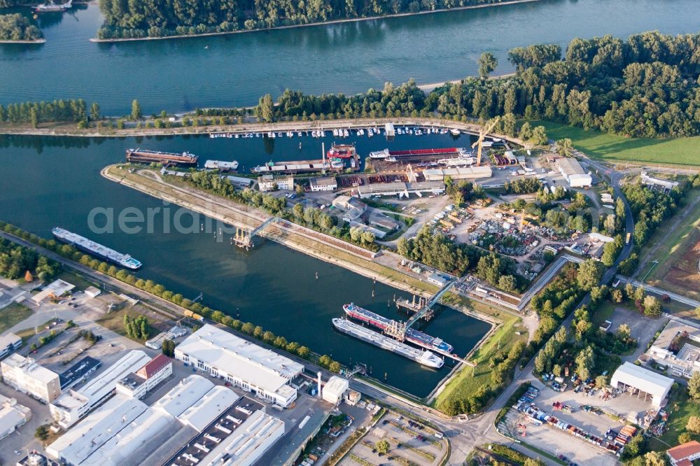 Aerial photograph Speyer - Quays and boat moorings at the port of the inland port on the Rhine river in Speyer in the state Rhineland-Palatinate, Germany
