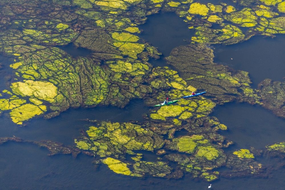 Aerial image Hagen - Canoeists - ride and training on Hartkortsee in Hagen in the state North Rhine-Westphalia, Germany