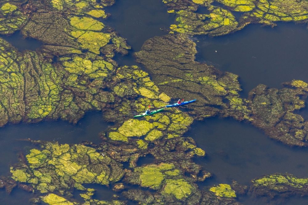 Hagen from above - Canoeists - ride and training on Hartkortsee in Hagen in the state North Rhine-Westphalia, Germany