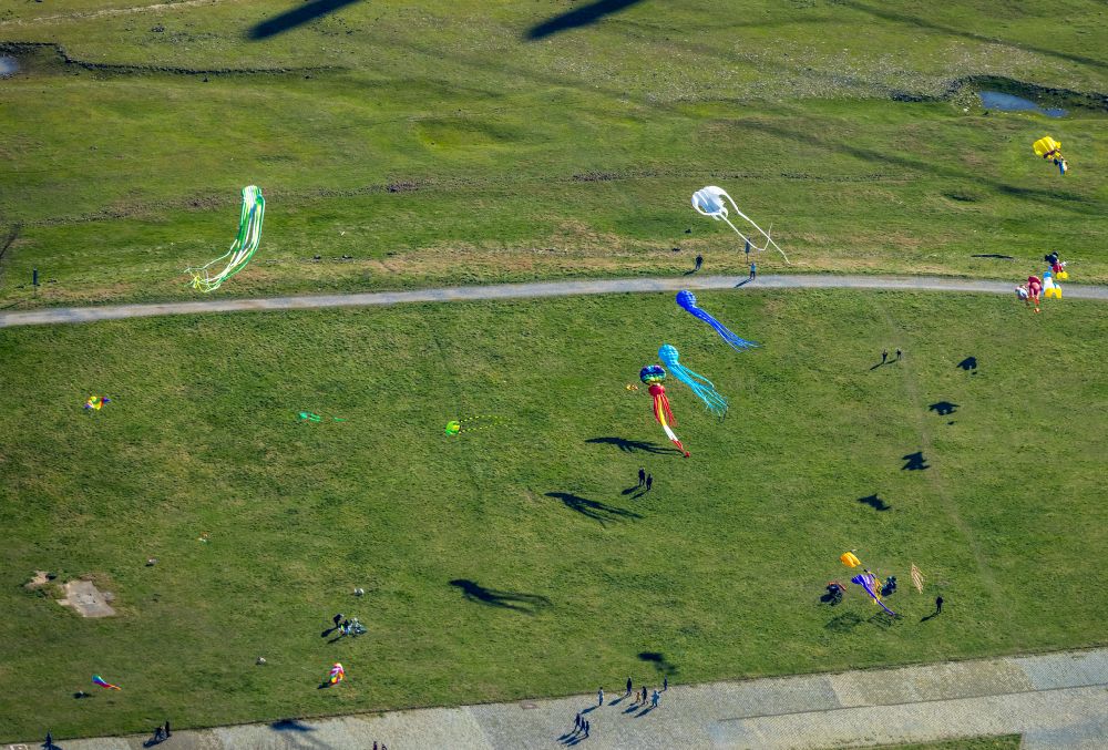 Aerial image Düsseldorf - Playing children fly kites on the structures of a field landscape Rheinwiesen on the banks of the rhine river course at Rheinkniebruecke in Duesseldorf in the state North Rhine-Westphalia, Germany