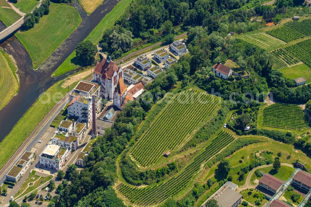 Aerial image Riegel am Kaiserstuhl - Churches building the chapel Michaelskapelle in Riegel am Kaiserstuhl in the state Baden-Wuerttemberg, Germany
