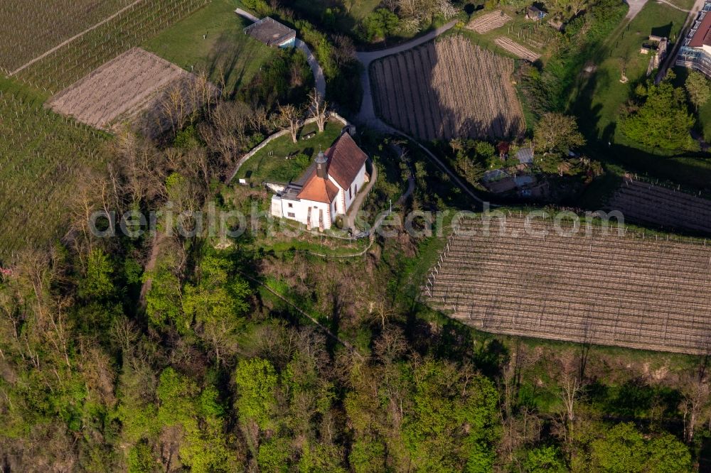 Riegel am Kaiserstuhl from above - Churches building the chapel Michaelskapelle in Riegel am Kaiserstuhl in the state Baden-Wuerttemberg, Germany