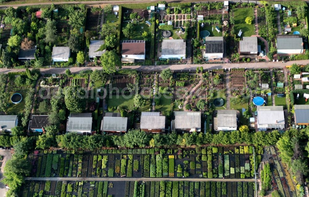 Erfurt from above - Section of allotment garden area at Roter Berg in Erfurt in Thuringia