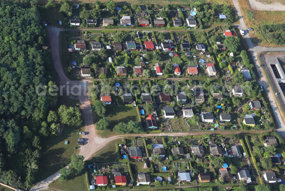 Arnstadt from the bird's eye view: Allotment gardens and cottage settlement on street Kirschallee in Arnstadt in the state Thuringia, Germany