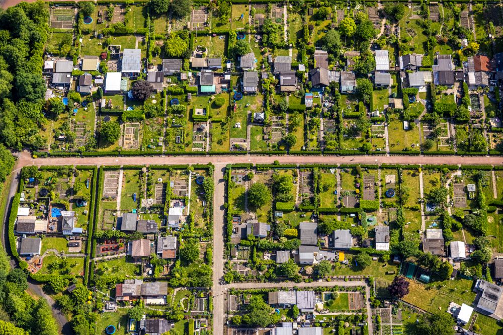 Aerial photograph Gelsenkirchen-West - Allotment gardens and cottage settlement in Gelsenkirchen-West in the state North Rhine-Westphalia, Germany