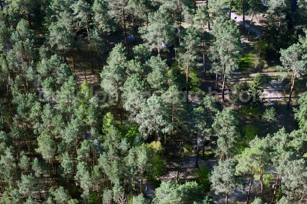 Aerial image Schorfheide - Allotment gardens and cottage settlement on forest Amselweg in the district Boehmerheide in Schorfheide in the state Brandenburg, Germany