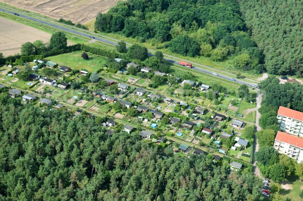 Aerial photograph Genthin - Allotments gardens plots of the association - the garden colony Am Eichenweg e.V in Genthin in the state Saxony-Anhalt, Germany