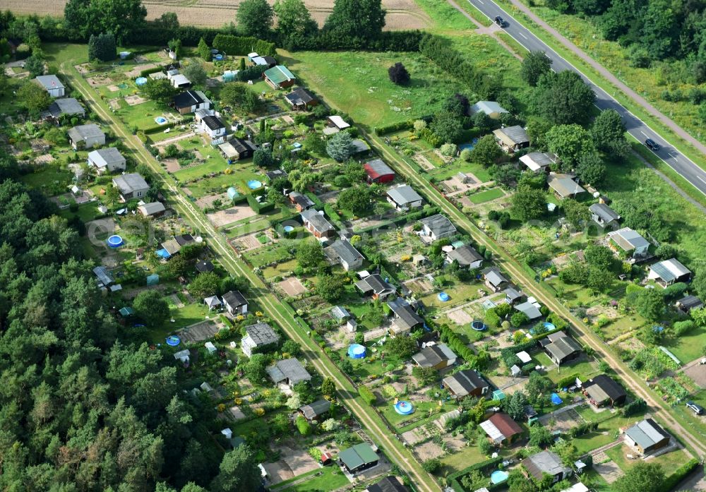 Genthin from above - Allotments gardens plots of the association - the garden colony Am Eichenweg e.V in Genthin in the state Saxony-Anhalt, Germany