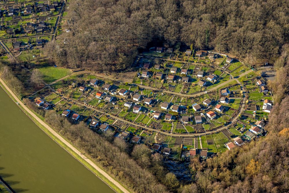 Aerial photograph Horstmar - Allotments gardens plots of the association - the garden colony Kgv Muehlenwinkel e.V. on street Schwansbeller Weg in Horstmar at Ruhrgebiet in the state North Rhine-Westphalia, Germany