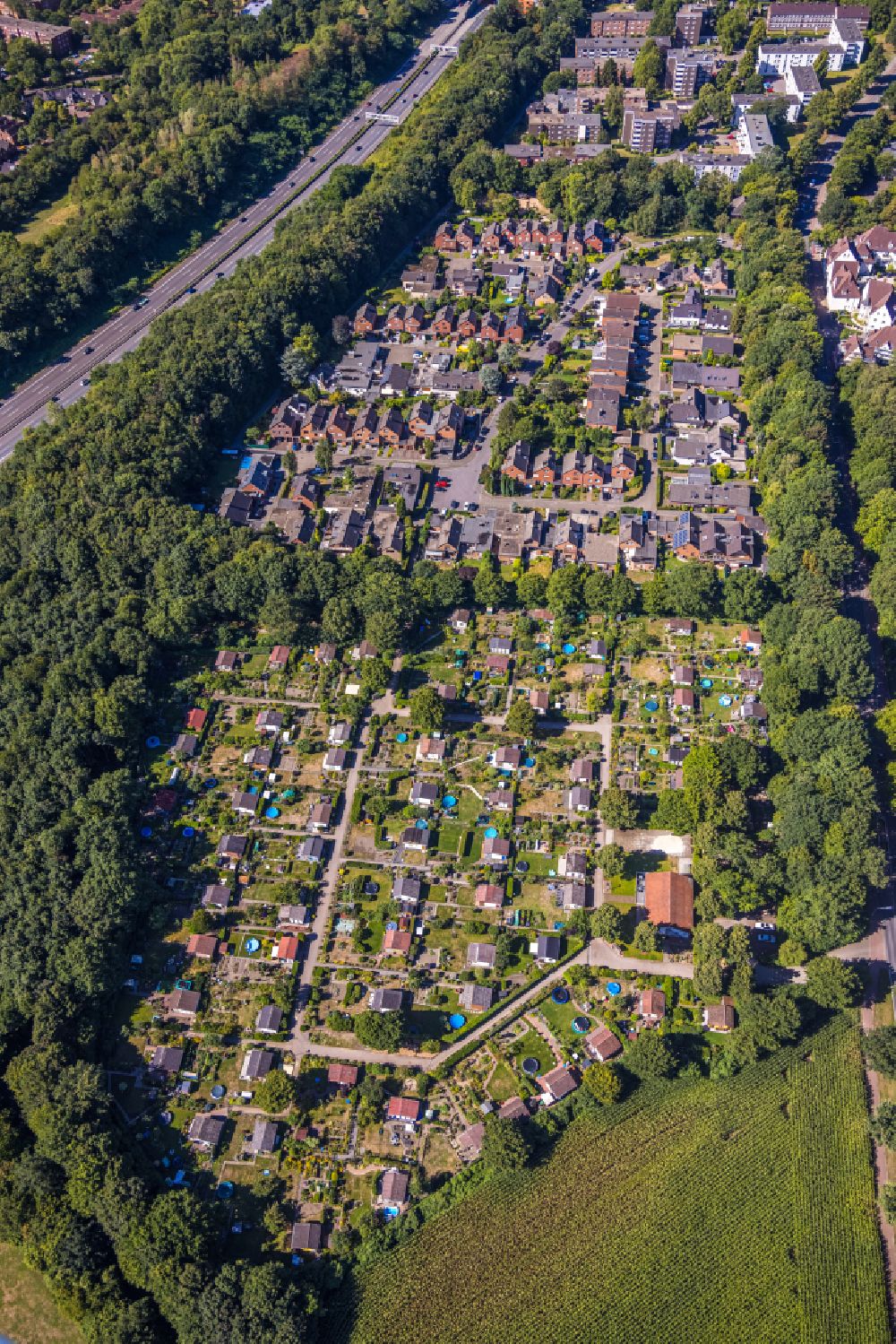 Aerial photograph Gelsenkirchen - Allotments gardens plots of the association - the garden colony Kleingaertnerverein Erle Nord e.V. on street Birkenkamp in the district Erle in Gelsenkirchen at Ruhrgebiet in the state North Rhine-Westphalia, Germany