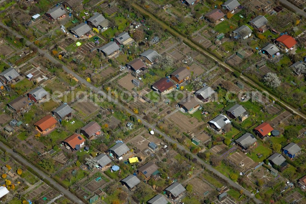 München from the bird's eye view: Allotments gardens plots of the association - the garden colony between Winzererstrasse and Ackermannstrasse in the district Neuhausen-Nymphenburg in Munich in the state Bavaria, Germany