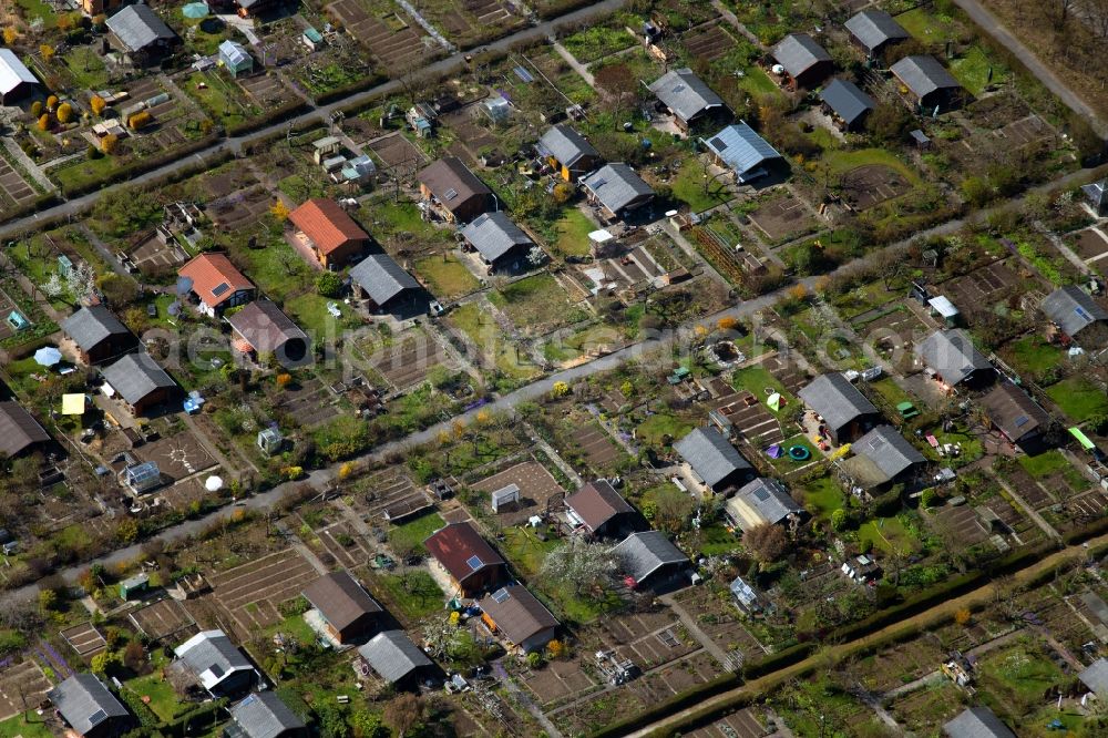 Aerial image München - Allotments gardens plots of the association - the garden colony between Winzererstrasse and Ackermannstrasse in the district Neuhausen-Nymphenburg in Munich in the state Bavaria, Germany