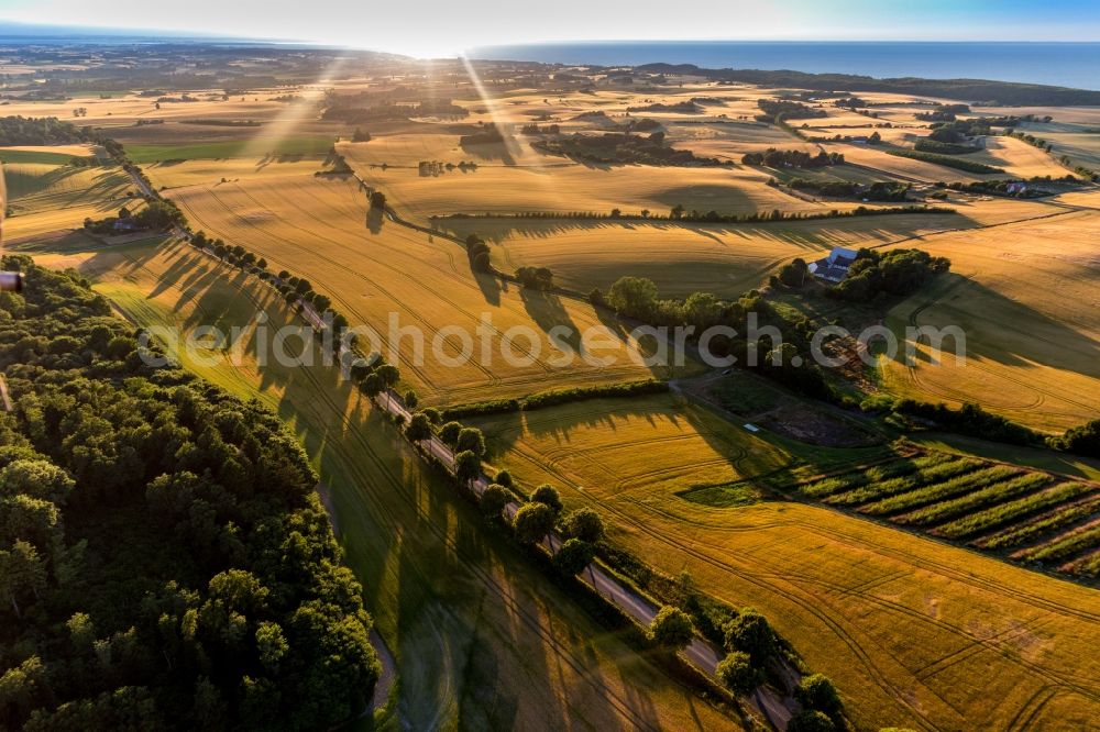 Aerial image Borre - Klintholm Allee on a country road on a field edge on the island Moen in the Baltic sea in Borre in Region Sjaelland, Denmark