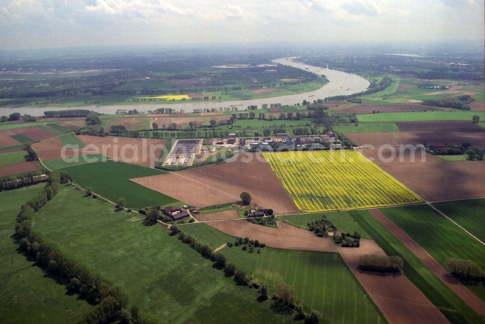 Meerbusch from the bird's eye view: Sewage treatment plant on the banks of the river course of the Rhine in Meerbusch in North Rhine-Westphalia