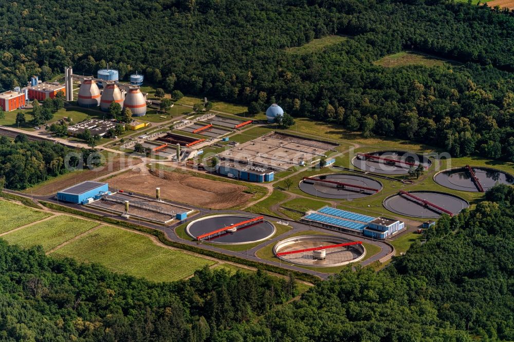 Forchheim from the bird's eye view: Sewage treatment basins and purification stages in Forchheim in the state Baden-Wurttemberg, Germany