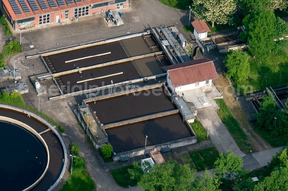 Kappel-Grafenhausen from above - Sewage works Basin and purification steps for waste water treatment suedliche Ortenau in Ellenbogenwald bei in Kappel-Grafenhausen in the state Baden-Wuerttemberg, Germany