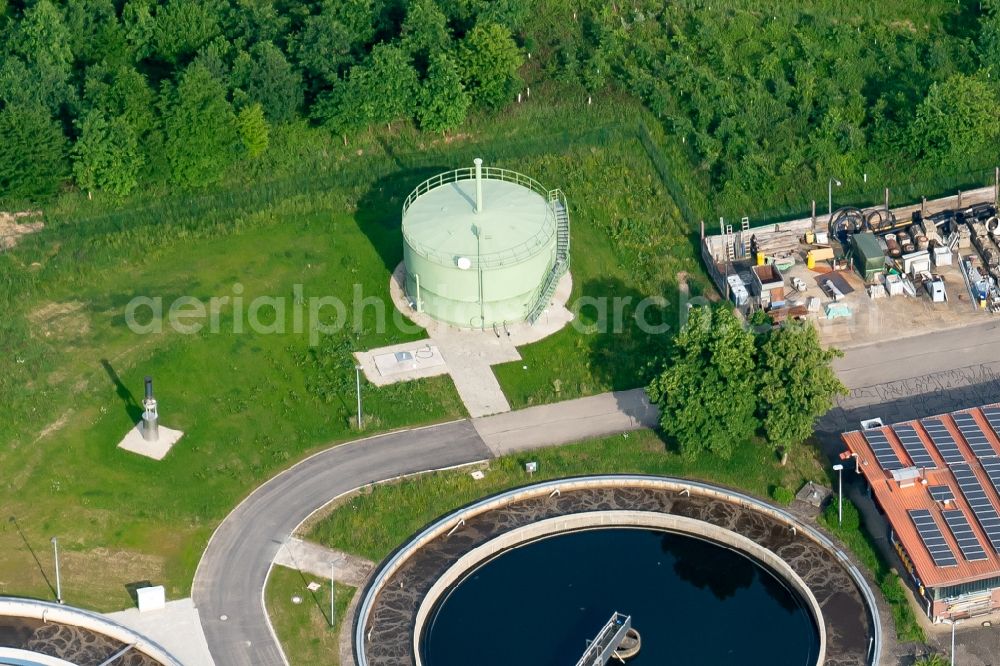 Aerial image Kappel-Grafenhausen - Sewage works Basin and purification steps for waste water treatment suedliche Ortenau in Ellenbogenwald bei in Kappel-Grafenhausen in the state Baden-Wuerttemberg, Germany