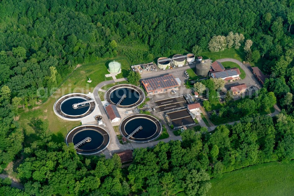 Aerial photograph Kappel-Grafenhausen - Sewage works Basin and purification steps for waste water treatment suedliche Ortenau in Ellenbogenwald bei in Kappel-Grafenhausen in the state Baden-Wuerttemberg, Germany