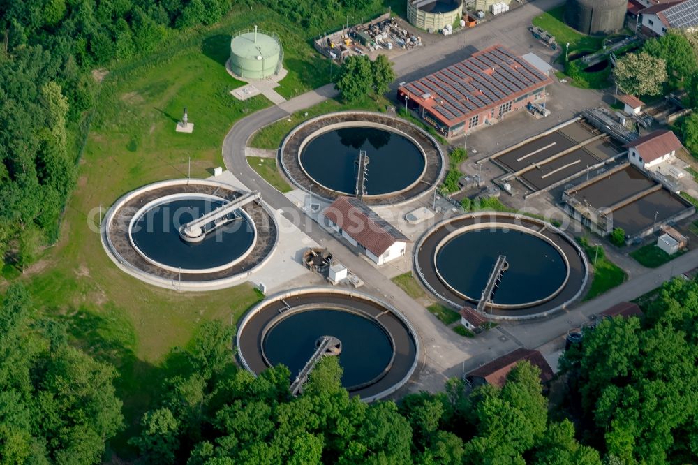 Kappel-Grafenhausen from above - Sewage works Basin and purification steps for waste water treatment suedliche Ortenau in Ellenbogenwald bei in Kappel-Grafenhausen in the state Baden-Wuerttemberg, Germany