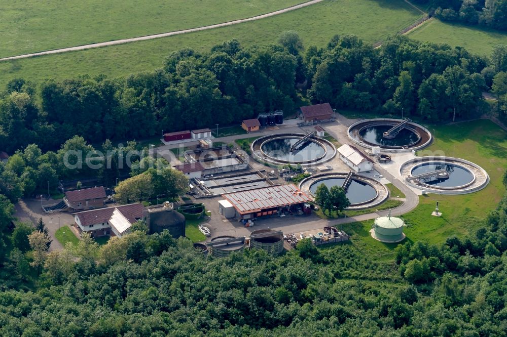 Aerial image Kappel-Grafenhausen - Sewage works Basin and purification steps for waste water treatment suedliche Ortenau in Ellenbogenwald bei in Kappel-Grafenhausen in the state Baden-Wuerttemberg, Germany